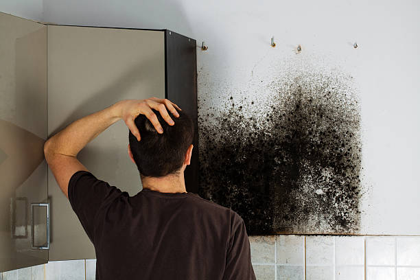 Durham, CA Mold Remediation Company